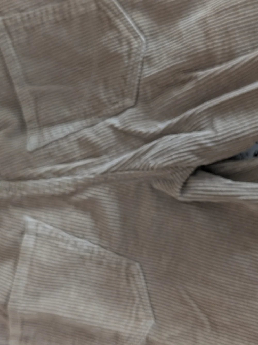 Empyre Tan Corduroy Kids Pants